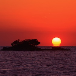 dailyPhoto30